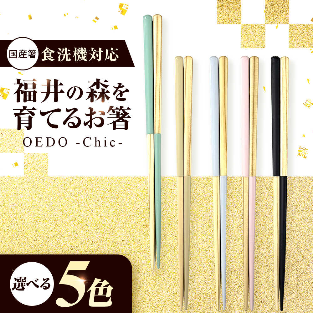 【選べる5色】OEDO -Chic- Sauge 福井の森から生まれたお箸（食洗機対応 若狭塗箸 1膳）/ 純国産 木製 箸 おしゃれ ギフト 小浜市 / スタイル・オブ・ジャパン[BFCX050]