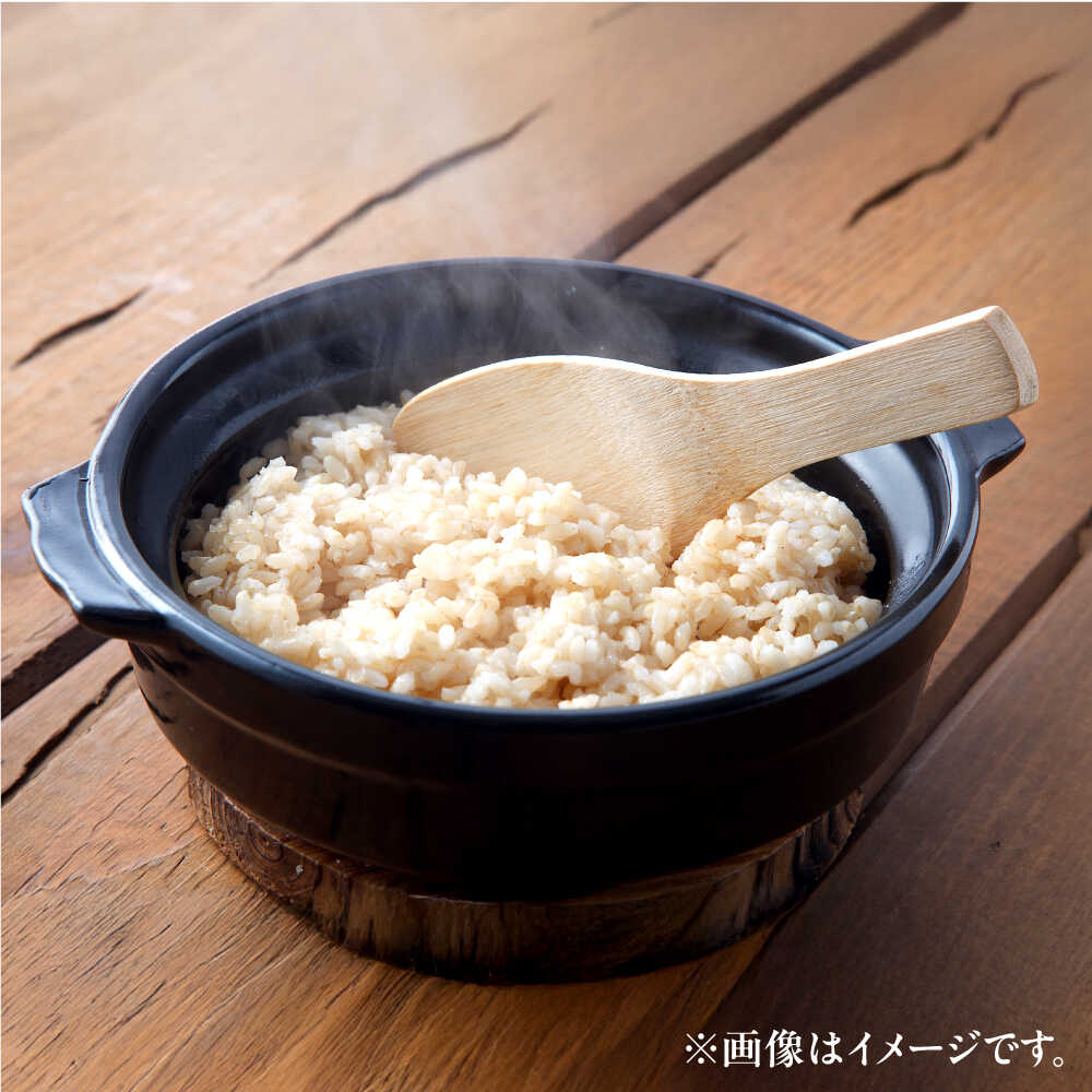 【ふるさと納税】 【先行予約 /8月下旬より順次発送 】 ハナエチゼン 玄米 10kg×2 （20kg） / 米 お米 健康 小浜市 / 北川博司 [BFDG005] f182044-obama-10002568 福井県小浜市 サンプル画像3