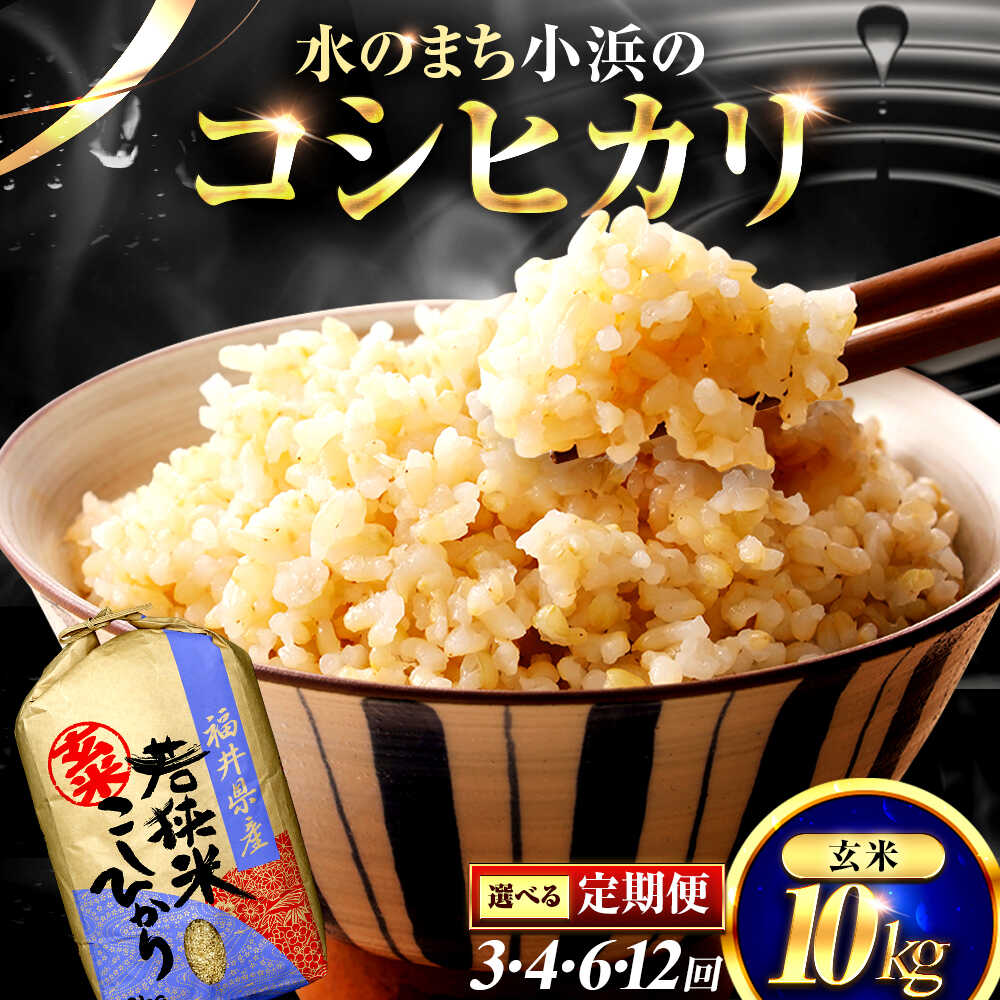 【ふるさと納税】福井県産コシヒカリ...