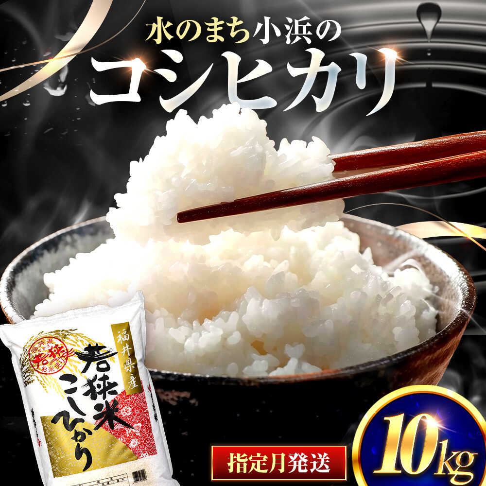 [選べる発送月] 福井県産 コシヒカリ 精米 (白米) 10kg 一等級 福井県米 / 甘みと粘りが際立つ 王道米 こしひかり 小浜市 / 若狭ふれあい市場[BFEL018]