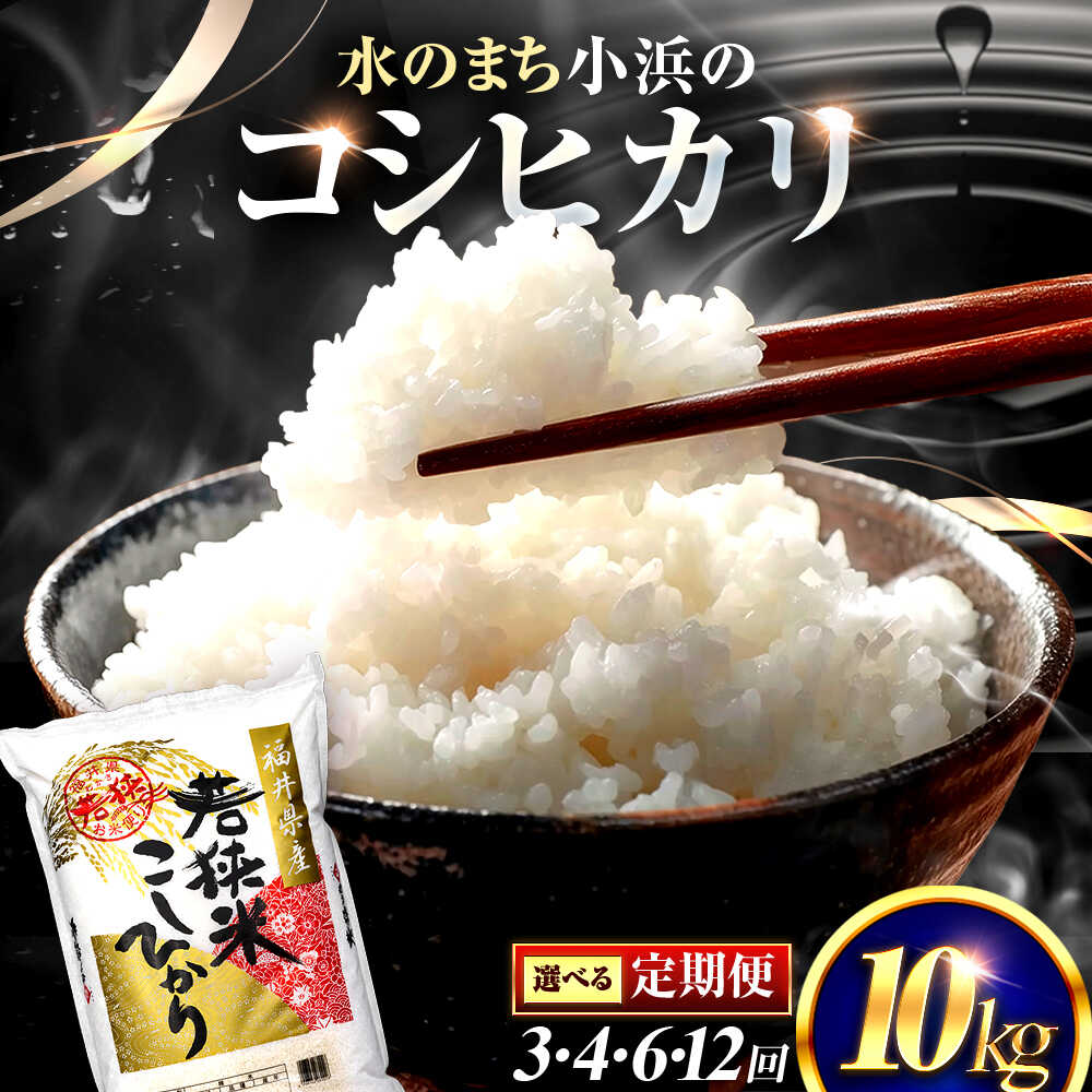 [選べる定期便回数] 福井県産 コシヒカリ 精米 (白米) 10kg 一等級 福井県米 /甘みと粘りが際立つ 王道米 こしひかり 小浜市 / 若狭ふれあい市場[BFEL031]