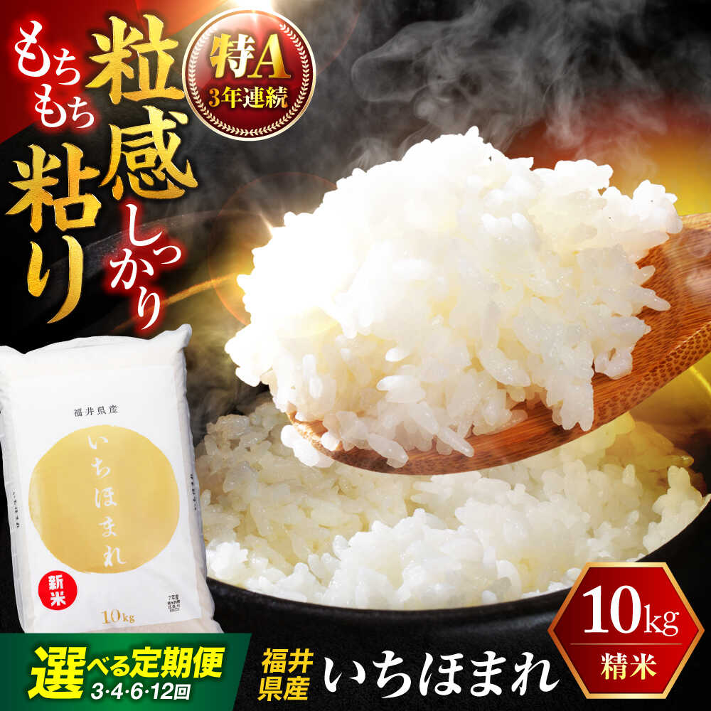 [選べる定期便回数] 福井県産 いちほまれ 精米 (白米) 10kg 福井自慢のブランド米 一等級 福井県米 / コシヒカリ発祥 ブランド 特A常連 小浜市 / 若狭ふれあい市場[BFEL048]