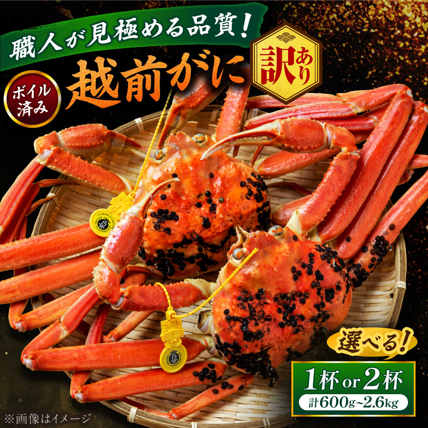 [訳あり][選べる容量・配送月][先行予約/11月18日より順次配送]越前がに 茹で 福井県産ズワイガニ 脚折れ・欠け / かに カニ 蟹 越前ガニ ズワイガニ ボイル / 小浜市 / 一進わかさ[配送不可地域:北海道・沖縄・離島][冷蔵][BFES017-032]