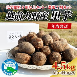 【ふるさと納税】【先行予約】【12月20日までのご寄付で年内お届け】越前大野産 里芋 4.5kg 化学肥料5割以上カット・農薬7割カットの特別栽培 農家直送 さといも【大野・里芋・特別栽培】 [A-008001]･･･ 画像1