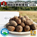 【ふるさと納税】【12月20日までのご寄付で年内お届け】越前大野産 里芋 4.5kg 化学肥料5割以上カット・農薬7割カットの特別栽培 農家直送 さといも【大野・里芋・特別栽培】 [A-008001]