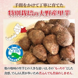 【ふるさと納税】【先行予約】【12月20日までのご寄付で年内お届け】越前大野産 里芋 4.5kg 化学肥料5割以上カット・農薬7割カットの特別栽培 農家直送 さといも【大野・里芋・特別栽培】 [A-008001]･･･ 画像2