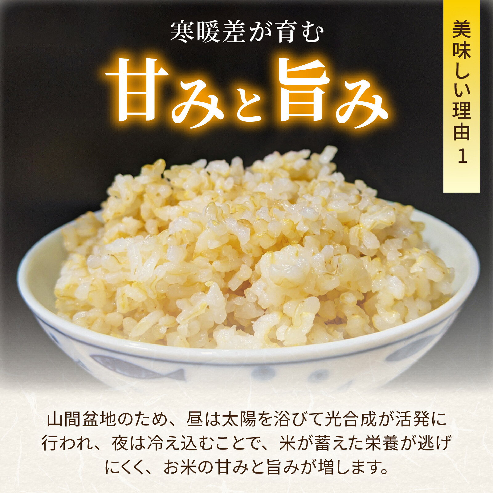 【ふるさと納税】【令和8年度産 新米 先行予約】【玄米】福井県大野市　森目のコシヒカリ 【選べる容量・配送回数】5.0kg ～ 10.0kg [A-008012]お米 米 こめ 玄米 コシヒカリ 定期便 お米 3ヶ月 6ヶ月 12ヶ月 精米 こめ コメ お米 2026年産 送料無料 国産 白飯 産地直送