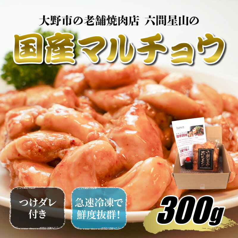 【ふるさと納税】大野市の老舗焼肉店 六間星山の「国産マルチョウ300g 味付け つけダレ付」（冷凍） [A-026013]|アウトドア BBQ バーベキュー 牛ホルモン とんちゃん 新鮮 お取り寄せ グルメ もつ鍋〈セット買い で 増量中 5セット まで〉 送料無料 内祝 ご馳走 秘伝のタレ