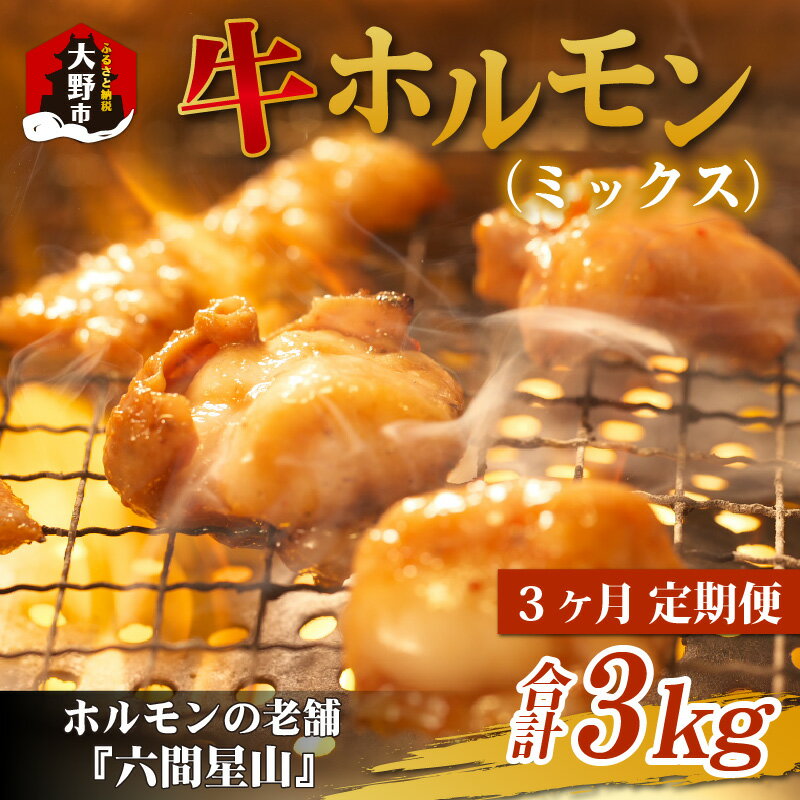 ホルモンの老舗 六間星山の牛ホルモン（ミックス）1kg（500g×2袋）×3回　合計3kg | ホルモン焼き