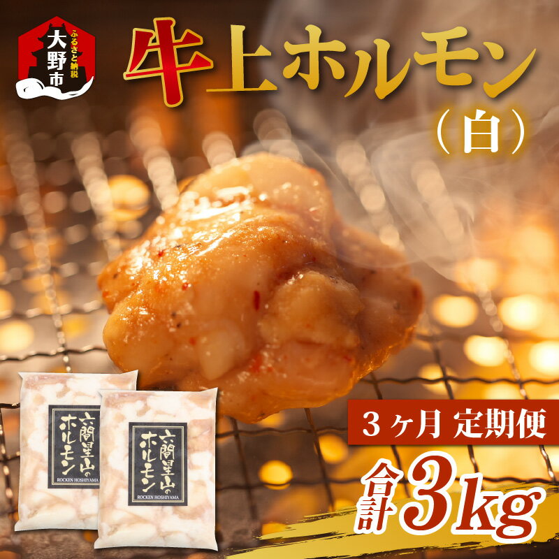 [3ヶ月定期便]ホルモンの老舗 六間星山の牛上ホルモン(白)1kg(500g×2袋)×3回 合計3kg[ホルモン・小腸・3kg] [C-026003]| ホルモン焼き