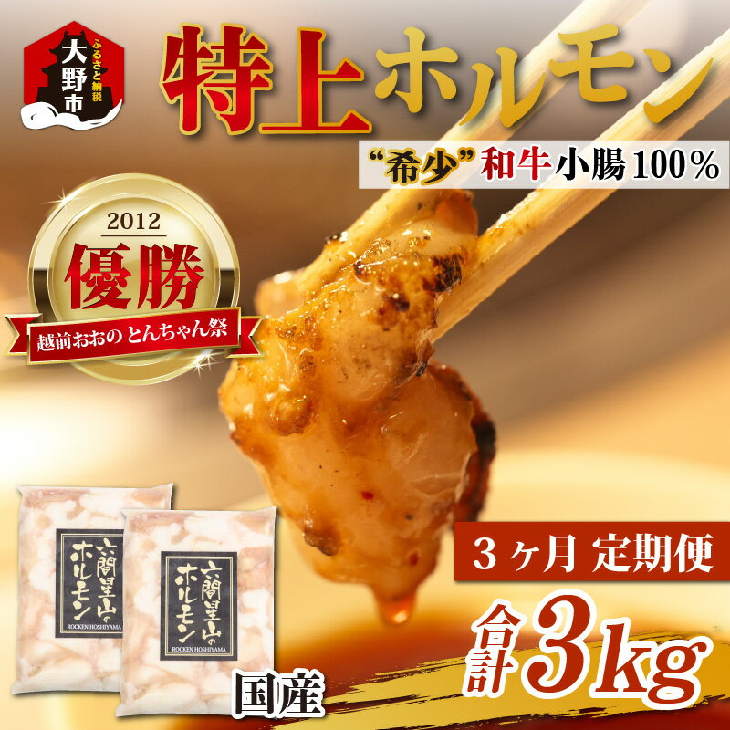 [3ヶ月定期便]とんちゃん祭2012年優勝商品!特上ホルモン(和牛小腸100%)1kg(500g×2袋)×3回 合計3kg[ホルモン・和牛・小腸・3kg] [D-026001]| ホルモン焼き