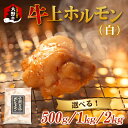 【ふるさと納税】ホルモン の 老舗 六間星山 の 牛上ホルモン（白）500g／1kg／2kg [A-026002] | 国産 秘伝 タレ漬け 星山 冷凍 焼肉 バーベキュー ホルモン鍋 とんちゃん 鉄板焼 BBQ もつ 味付け肉 ビールのお供 網焼き 牛肉 肉 ハイボール 焼肉店 ホルモン焼き 送料無料