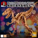 【ふるさと納税】レーザー加工 奥越恐竜 木製模型 キット （ ティラノサウルス 