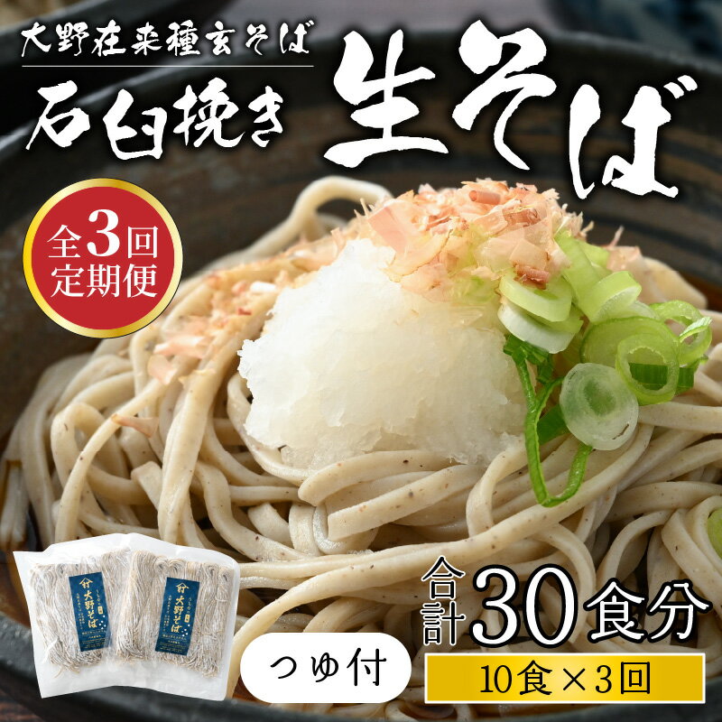 【ふるさと納税】【3ヶ月定期便】越前大野産 石臼挽き 越前そば 生そば10食 × 3回 計30食（つゆ付）[C-018002]| そば 生蕎麦 蕎麦 在来種 おろしそば かけそば 年越しそば 年越し蕎麦 名水 石臼挽き 自家製麺 冷蔵配送 香り のどごし 国産 福井 内田製麺所 送料無料