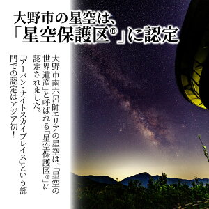 【ふるさと納税】星空と越前大野城 ジオラマ |城 越前大野城 ジオラマ プラモデル フィギア[C-045001]