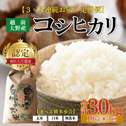 【ふるさと納税】【先行予約】【令和4年産新米】【3ヶ月定期便】越前大野産 エコファーマー認定農家栽培 コシヒカリ 10kg × 3回 計30kg お米・こしひかり・金賞【2022年10月より順次発送開始予定】 [E-001003]･･･ 画像1