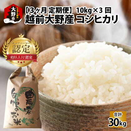 【令和5年産】【3ヶ月定期便】越前大野産 エコファーマー認定農家栽培 コシヒカリ 10kg × 3回 計30kg お米・こしひかり・金賞 [E-001003]