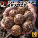 【ふるさと納税】【先行予約】越前大野里芋 3kg ねっとりうまい煮崩れしない！【11月～年内出荷】 