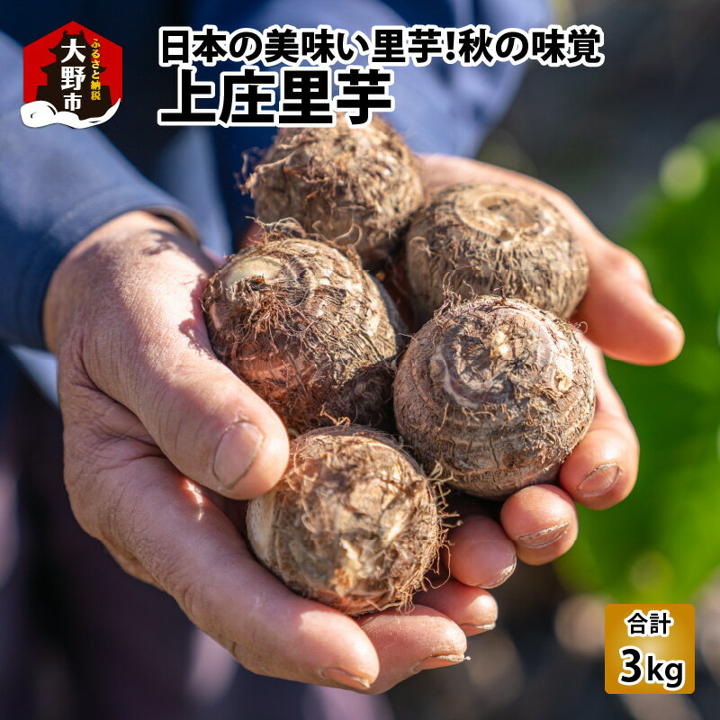 【先行予約】日本の美味い里芋！秋の味覚 上庄里芋 3kg【11月～年内出荷】【野菜・里芋・上庄里芋・3kg】 [A-001005]