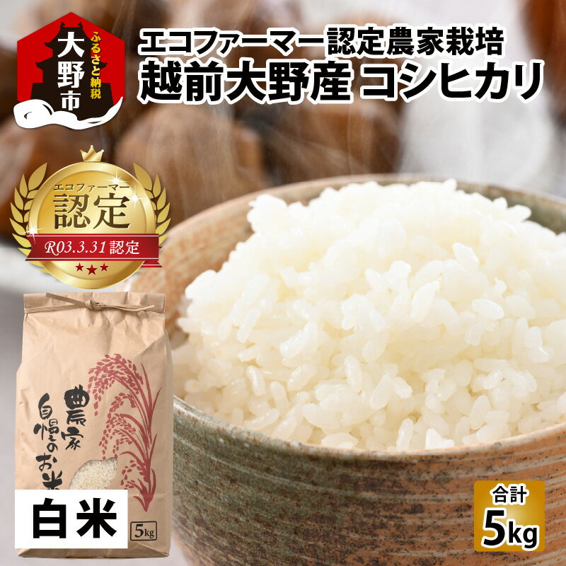 14位! 口コミ数「0件」評価「0」【令和5年産】エコファーマー認定農家栽培　コシヒカリ（白米）5kg【のし・お米・コシヒカリ・エコファーマー認定・精米・白米】[A-00103･･･ 