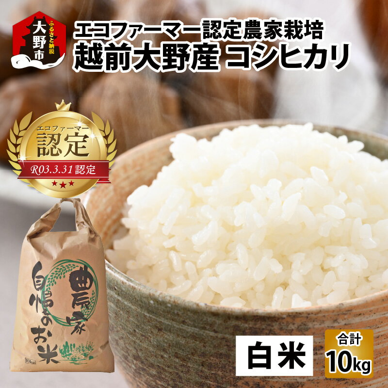 [令和5年産]越前大野産 エコファーマー認定農家栽培 コシヒカリ10kg(白米)[A-001035]