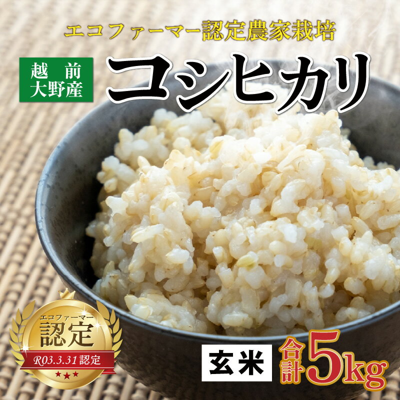 【ふるさと納税】【令和5年産】越前大野産 エコファーマー認定農家栽培 こしひかり5kg（玄米） のし・お米・こしひかり・エコファーマー認定・玄米 [A-001036]