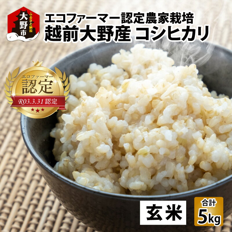 【ふるさと納税】【令和5年産】越前大野産 エコファーマー認定農家栽培 こしひかり5kg（玄米） のし・お米・こしひかり・エコファーマー認定・玄米 [A-001036]