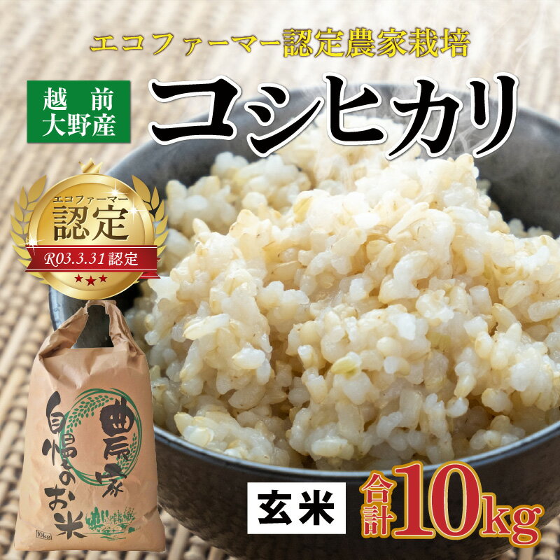 【ふるさと納税】【令和5年産】越前大野産 エコファーマー認定農家栽培 コシヒカリ10kg（玄米）[A-001037]