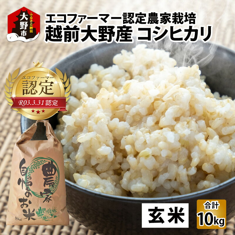 【ふるさと納税】【令和5年産】越前大野産 エコファーマー認定農家栽培 コシヒカリ10kg（玄米）[A-001037]