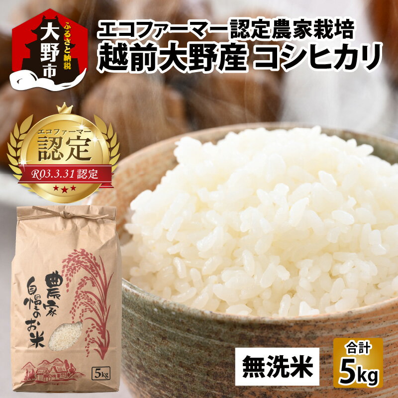 [令和5年産]越前大野産 エコファーマー認定農家栽培 こしひかり5kg(無洗米)のし・お米・こしひかり・エコファーマー認定・無洗米 [A-001044]