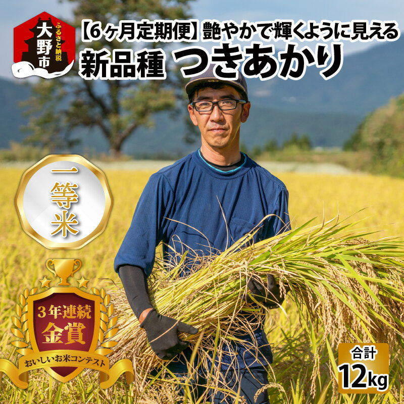 【ふるさと納税】【6ヵ月定期便】【令和5年産】越前大野産 一