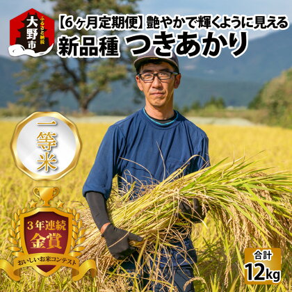 【6ヵ月定期便】【令和5年産】越前大野産 一等米 帰山農園の「つきあかり」2kg 合計12kg【選べる精米方法】[A-001058]