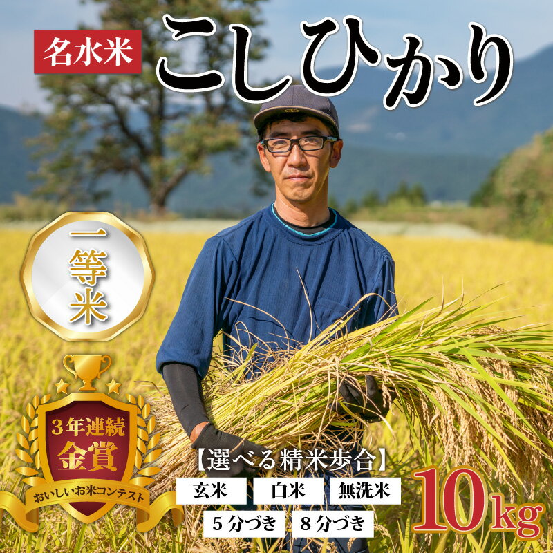 【ふるさと納税】【令和5年産】越前大野産 一等米 帰山農園の棚田育ちコシヒカリ 10kg （5kg×2袋）【選べる精米方法】玄米 白米 無洗米 8分づき 5分づき[B-001002]