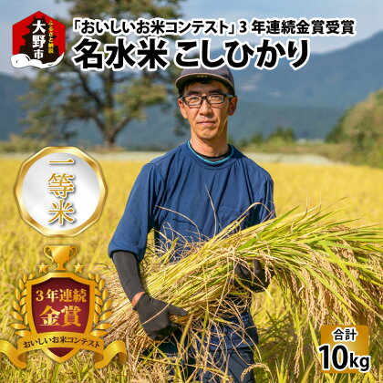 【令和5年産】越前大野産 一等米 帰山農園の棚田育ちコシヒカリ 10kg （5kg×2袋）【選べる精米方法】玄米 白米 無洗米 8分づき 5分づき[B-001002]