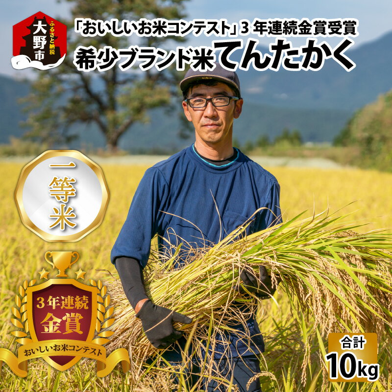 [令和5年産]越前大野産 一等米 帰山農園の「てんたかく」10kg(5kg×2袋) [お米・こしひかり・金賞] [B-001003]