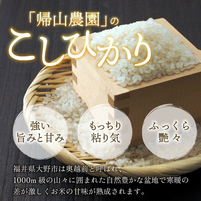 【ふるさと納税】【令和8年産 新米】越前大野産 一等米 帰山農園の棚田育ちコシヒカリ 5kg × 1袋 【選べる精米方法｜配送回数】白米 玄米 無洗米 米 お米 こしひかり 単発 3ヶ月定期便[A-001104] f182052-ono-10001269 福井県大野市 サンプル画像3