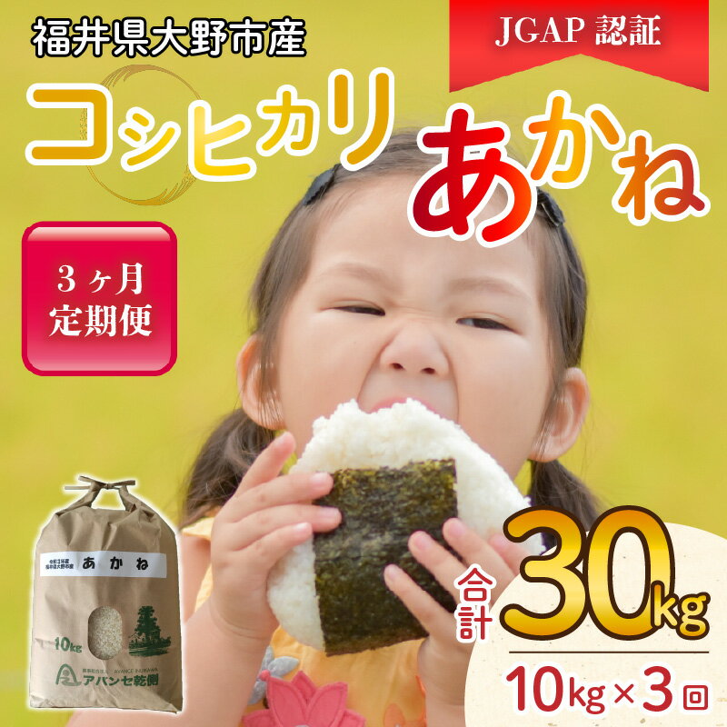 【ふるさと納税】【令和5年産】【3ヶ月定期便】福井県大野市産 JGAP認証 コシヒカリ「あかね」10kg 【お米・コシヒカリ・米・10kg・30kg・JGAP認証】[C-007001]