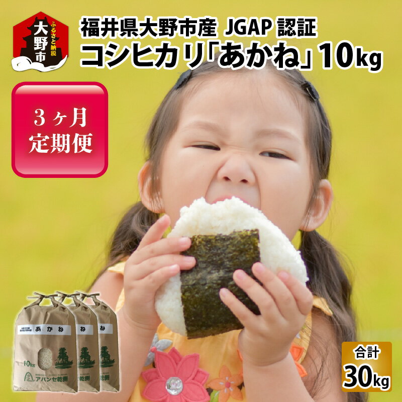 【ふるさと納税】【令和5年産】【3ヶ月定期便】福井県大野市産 JGAP認証 コシヒカリ「あかね」10kg 【お米・コシヒカリ・米・10kg・30kg・JGAP認証】[C-007001]