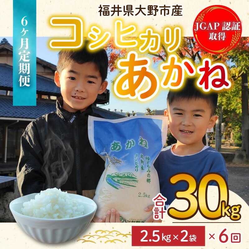 【ふるさと納税】【令和5年産】【6ヶ月定期便】福井県大野市産 JGAP認証 コシヒカリ「あかね」5kg（2.5kg×2）小分け 【定期便・お米・コシヒカリ・米・6ヶ月・6回・半年・30kg】 [C-007002]