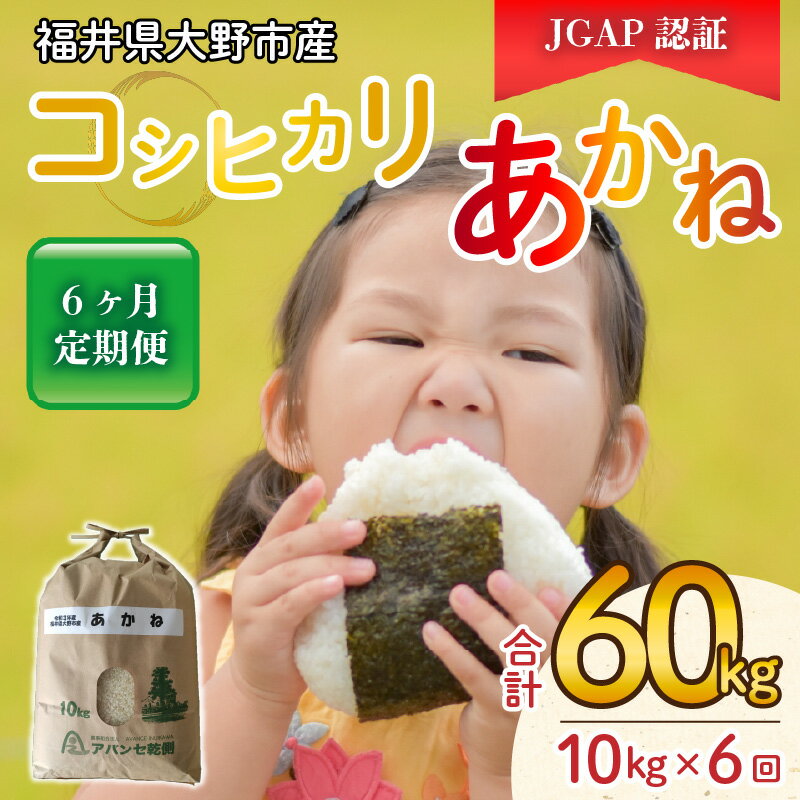 【ふるさと納税】【令和5年産】【6ヶ月定期便】福井県大野市産 JGAP認証 コシヒカリ「あかね」10kg 【定期便・お米・コシヒカリ・米・6ヶ月・6回・半年・60kg】 [F-007001]