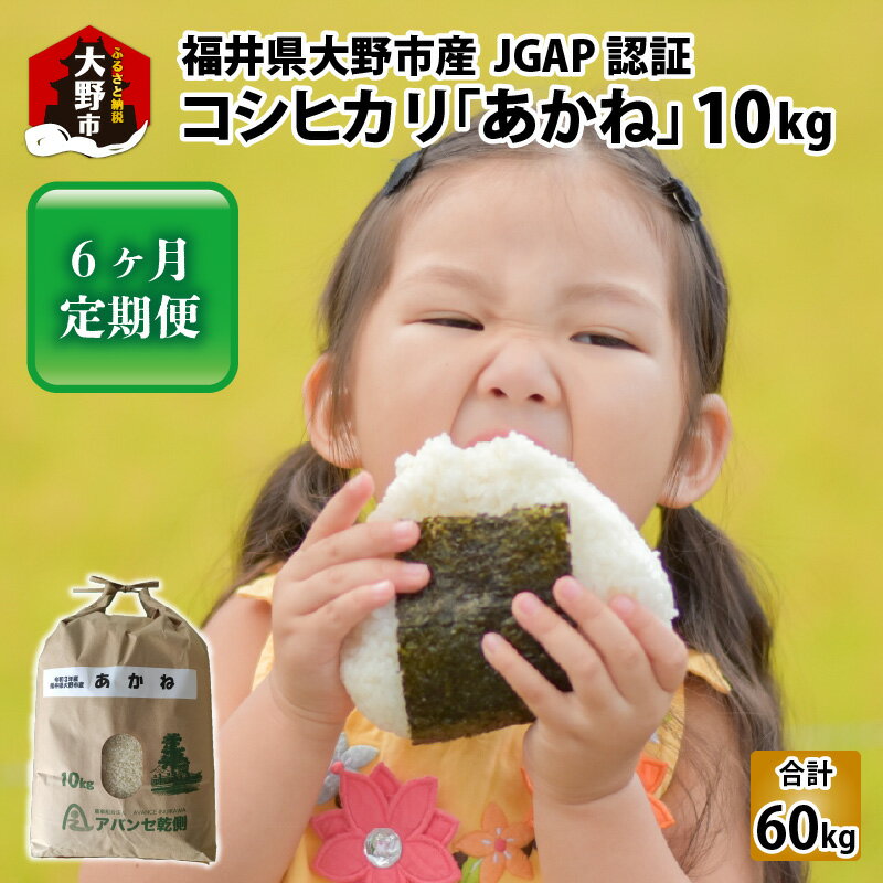 【ふるさと納税】【令和5年産】【6ヶ月定期便】福井県大野市産 JGAP認証 コシヒカリ「あかね」10kg 【...