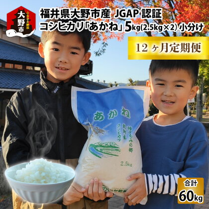 【令和5年産】【12ヶ月定期便】福井県大野市産 JGAP認証 コシヒカリ「あかね」5kg（2.5kg×2）小分け 【定期便・お米・コシヒカリ・米・12ヶ月・12回・1年・60kg】 [G-007001]