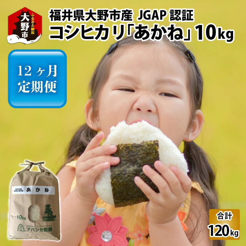 【ふるさと納税】【令和5年産】【12ヶ月定期便】福井県大野市産 JGAP認証 コシヒカリ「あかね」10kg ...