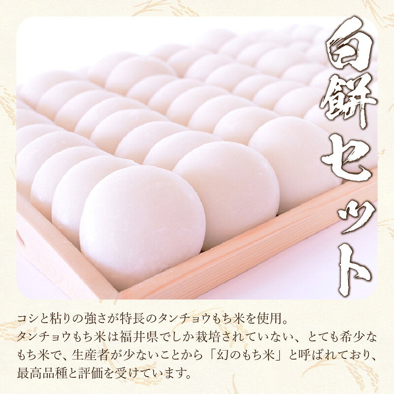 福井県大野市の画像3