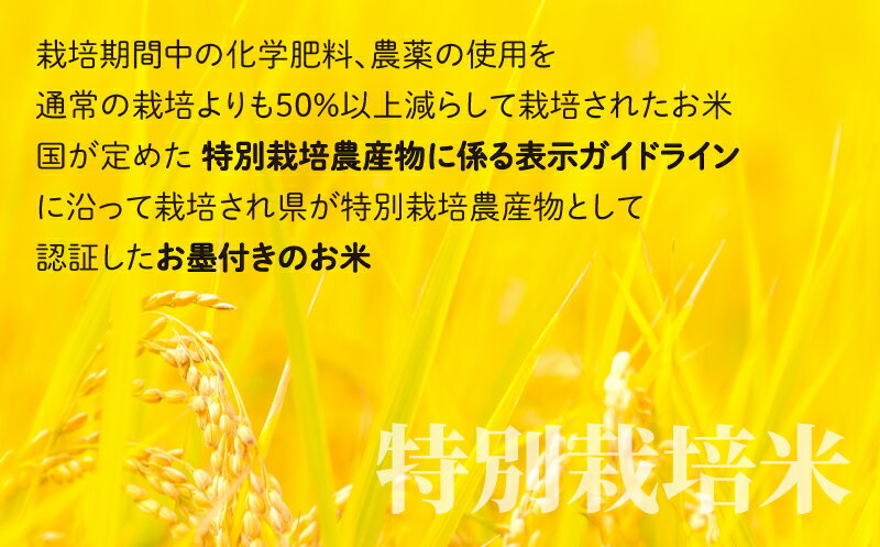 【ふるさと納税】【令和5年産】こしひかり 15kg【白米】減農薬・減化学肥料 「特別栽培米」−地球にやさしいお米−　【お米・コシヒカリ】[B-003006] 3