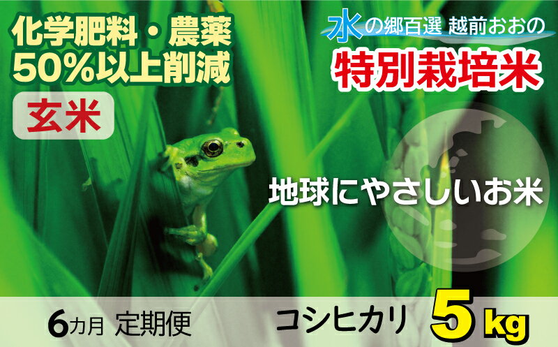 【ふるさと納税】【令和5年産】こしひかり 5kg【玄米】減農薬・減化学肥料 「特別栽培米」－地球にやさしいお米－【お米・コシヒカリ・玄米】[A-003009]