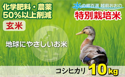 【令和5年産】こしひかり 10kg【玄米】減農薬・減化学肥料 「特別栽培米」－地球にやさしいお米－【お米・コシヒカリ・玄米】[A-003010]