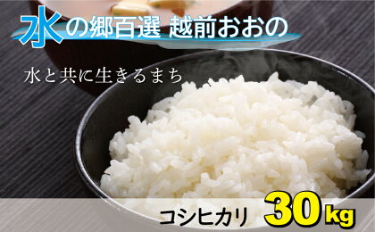 【令和5年産】こしひかり（福井県大野市産）エコファーマー米（白米）30kg（5kg×6袋）【お米・コシヒカリ】[C-003003]