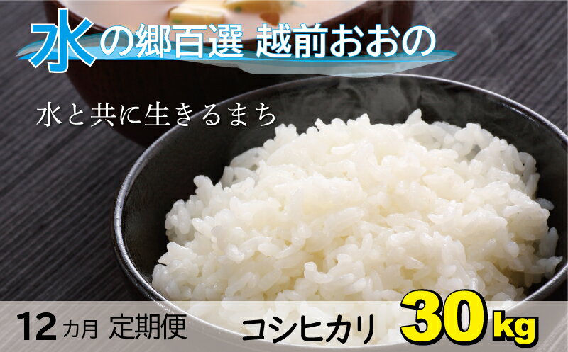 【ふるさと納税】【12ヶ月定期便】こしひかり 30kg「エコファーマー米」－水のまちのお米－【お米・コシヒカリ】[Q-003002]