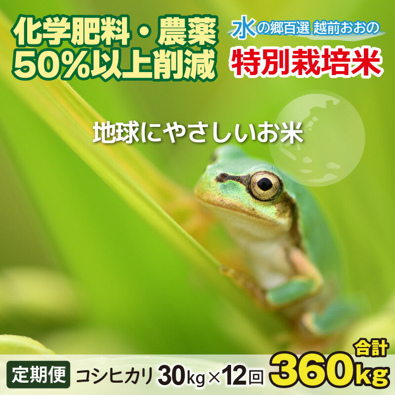 【ふるさと納税】【令和5年産】【12ヶ月定期便】こしひかり 30kg × 12回 計 360kg【白米】減農薬・減化学肥料 「特別栽培米」－地球にやさしいお米－【お米・コシヒカリ】[R-003001]